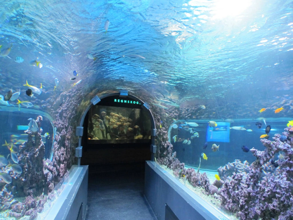 Bergen Aquarium - Dona Viagem