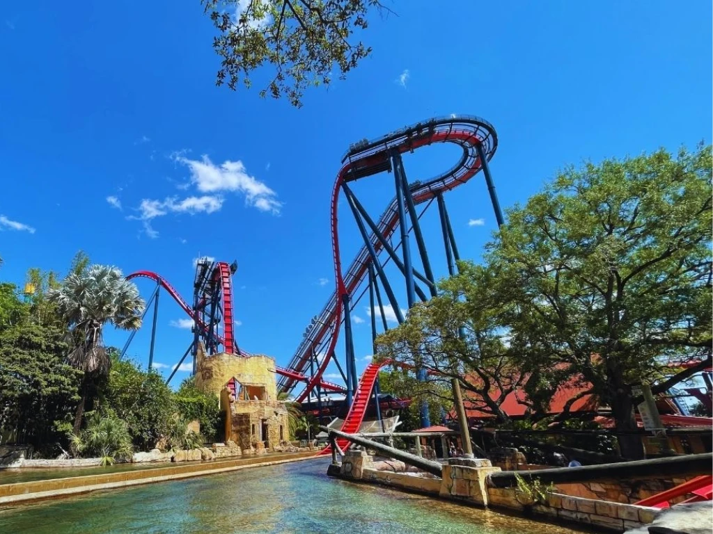 Sheikra - Busch Gardens - Montanha russa Orlando - Dona Viagem